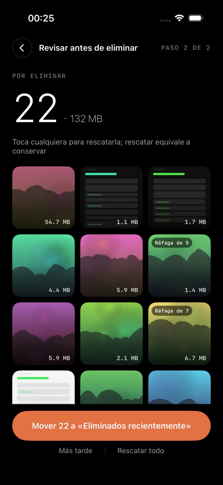 Cuadrícula de revisión